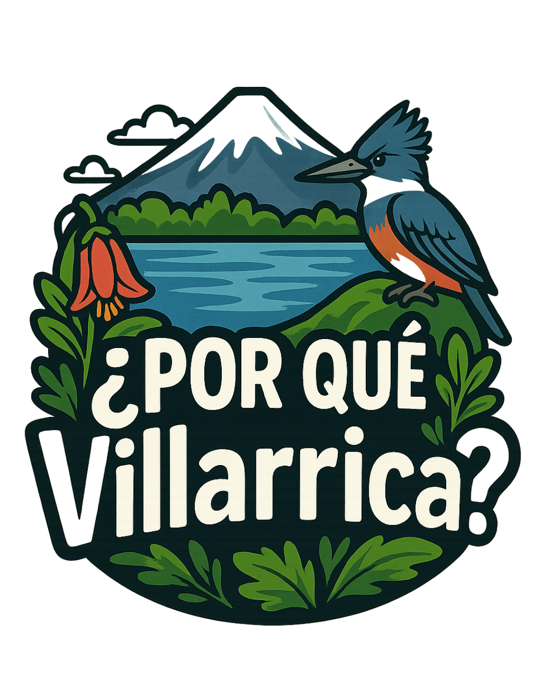 ¿Por qué Villarrica?